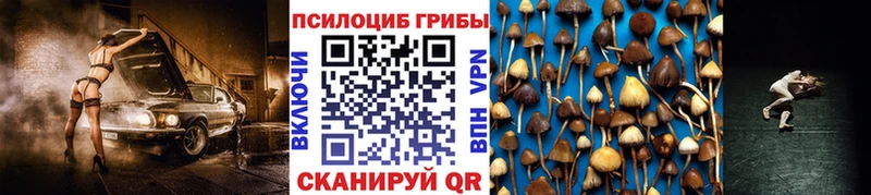 блэк спрут ССЫЛКА  Калининец  Галлюциногенные грибы мухоморы 